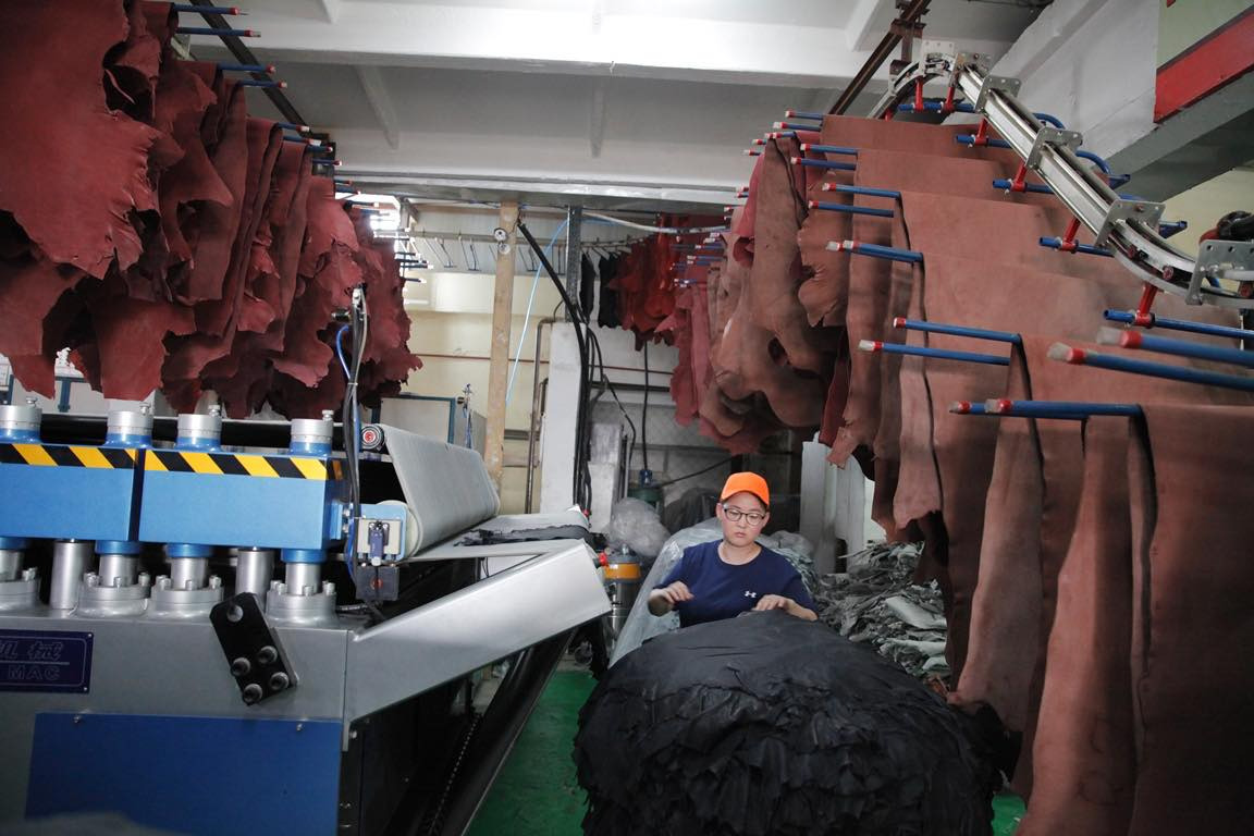 Арьсан бүтээгдэхүүний дэлхийн зах зээл 2034 он гэхэд 980 тэрбум долларт хүрнэ